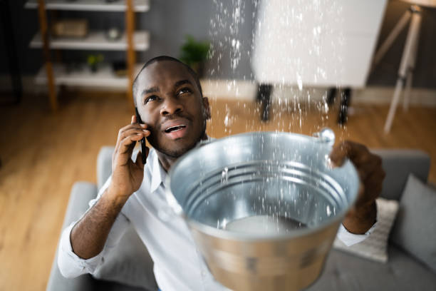 Best Professional water damage repair  in West Mayfield, PA
