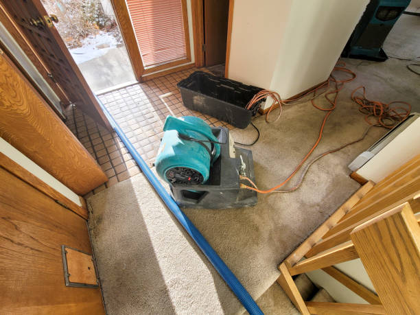 Best Basement water damage restoration  in West Mayfield, PA