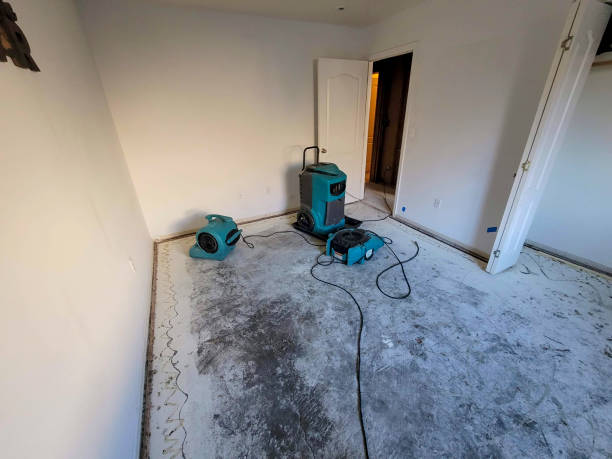 Best Mold removal after water damage  in West Mayfield, PA