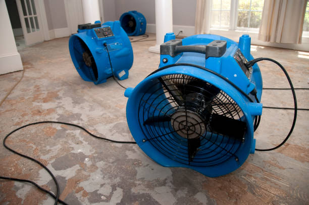 Best Local water damage restoration  in West Mayfield, PA