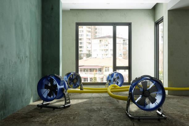 Water damage restoration insurance claims in West Mayfield, PA